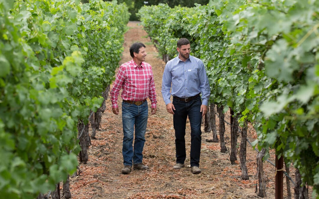 two men walking in vineyard