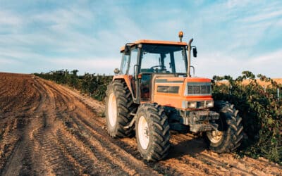 Removing and Replacing A Vineyard