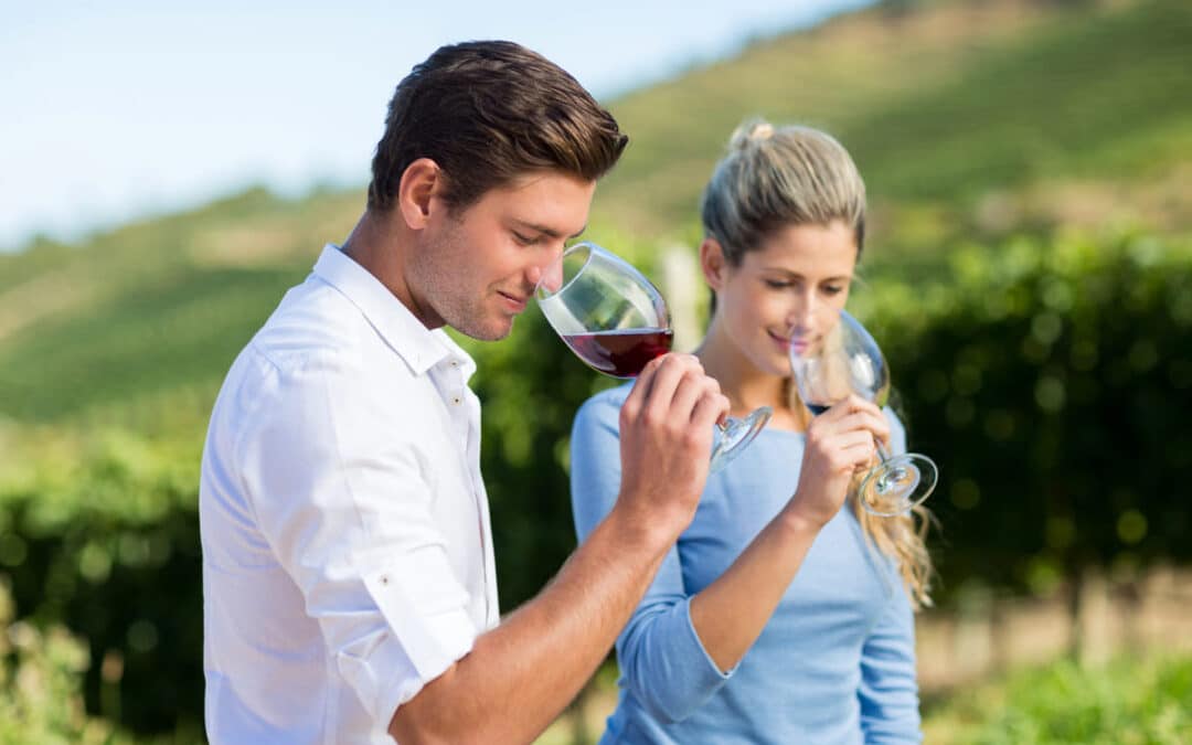 couple smelling wine in a vineyard