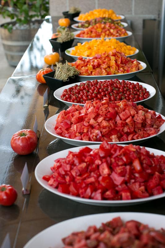 different kinds of tomatoes on plates lined up