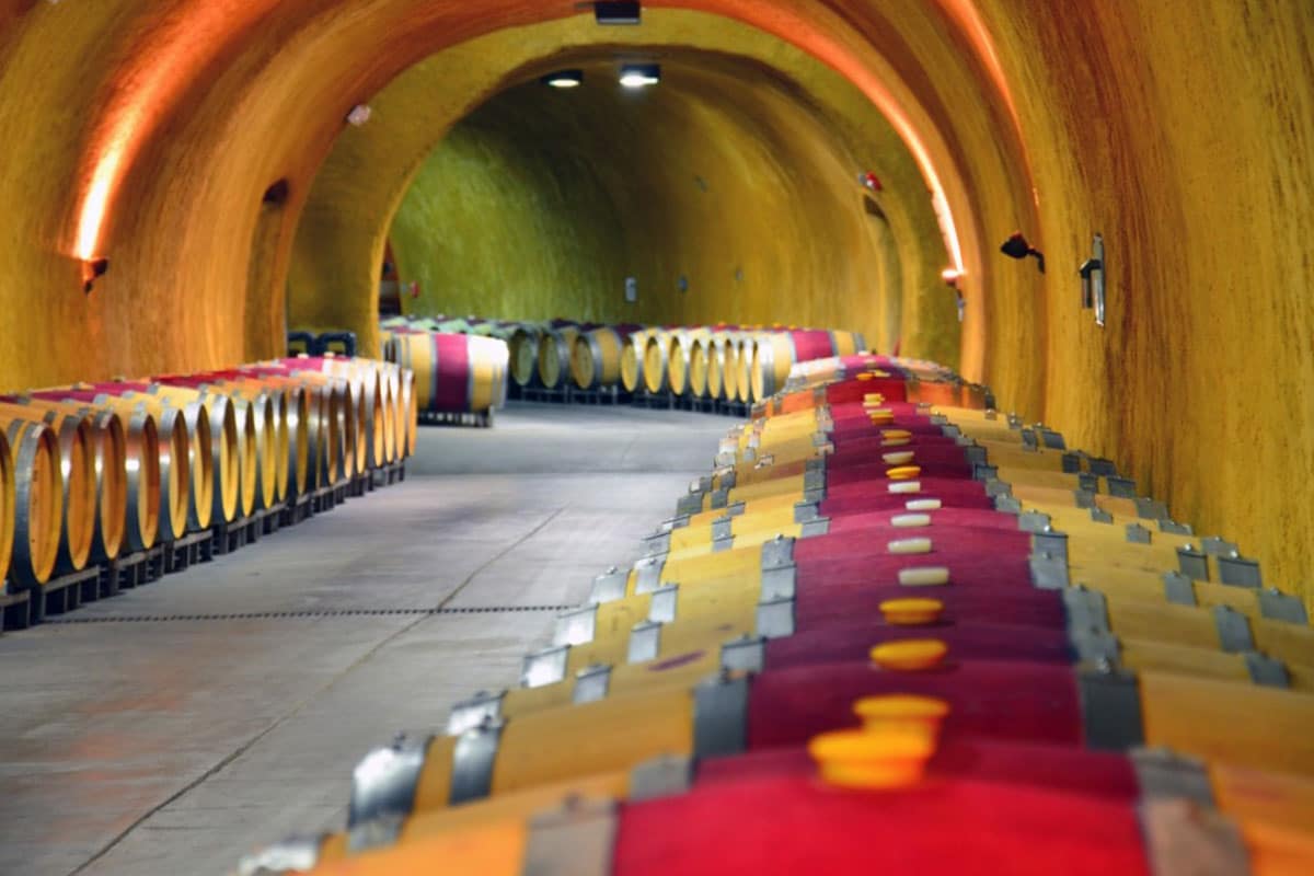 barrels in wine cave