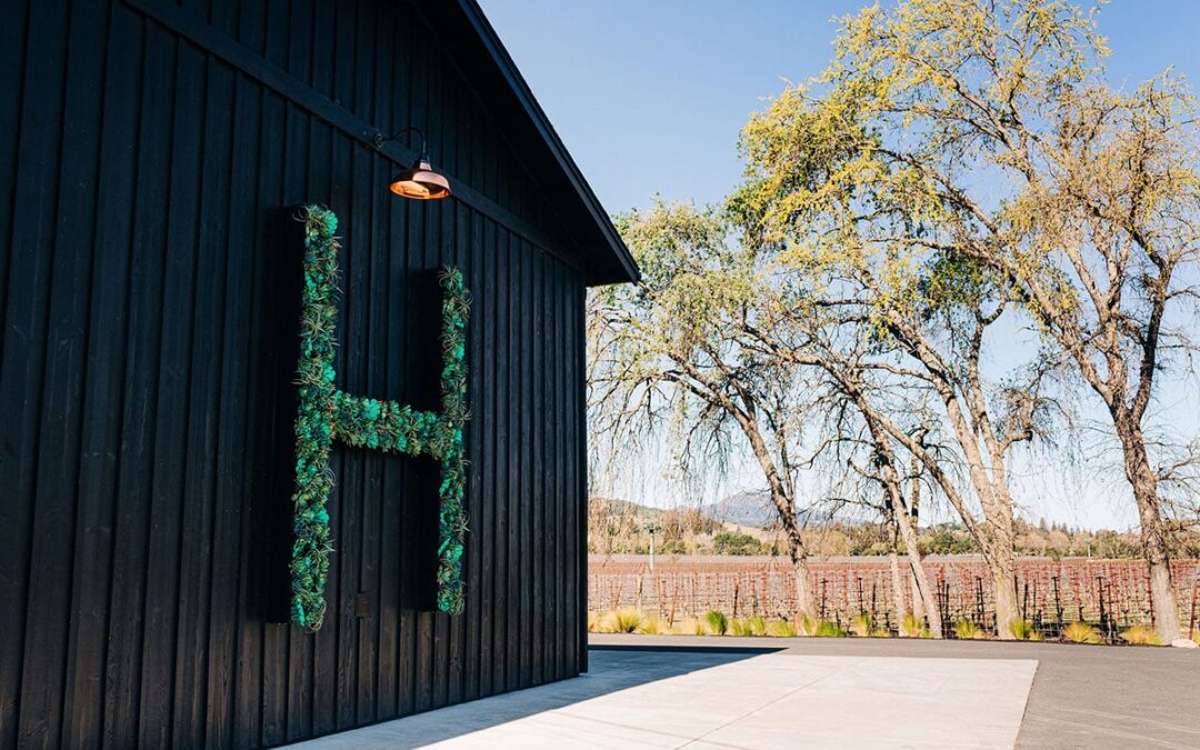 Scenic Napa Tasting: Views, Vibes, and Photo Spots at Hill Family Estate