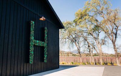 Scenic Napa Tasting: Views, Vibes, and Photo Spots at Hill Family Estate