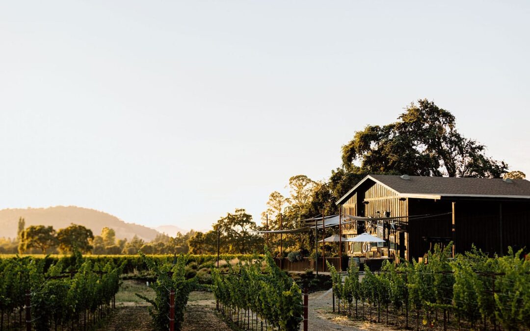 The Story Behind Our Estate Winery