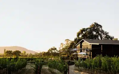 The Story Behind Our Estate Winery
