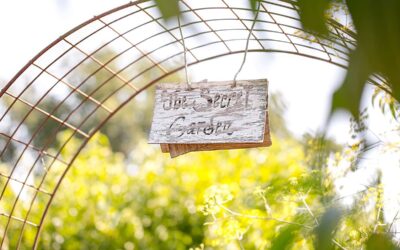 Spring in the Secret Garden: A Napa Valley Experience Worth the Wait