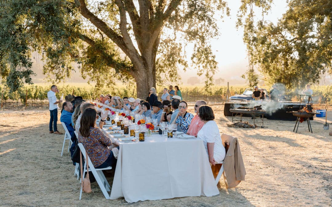 Tomatoville Returns August 2026