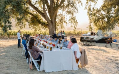 Tomatoville Returns in 2026 at Hill Family Estate