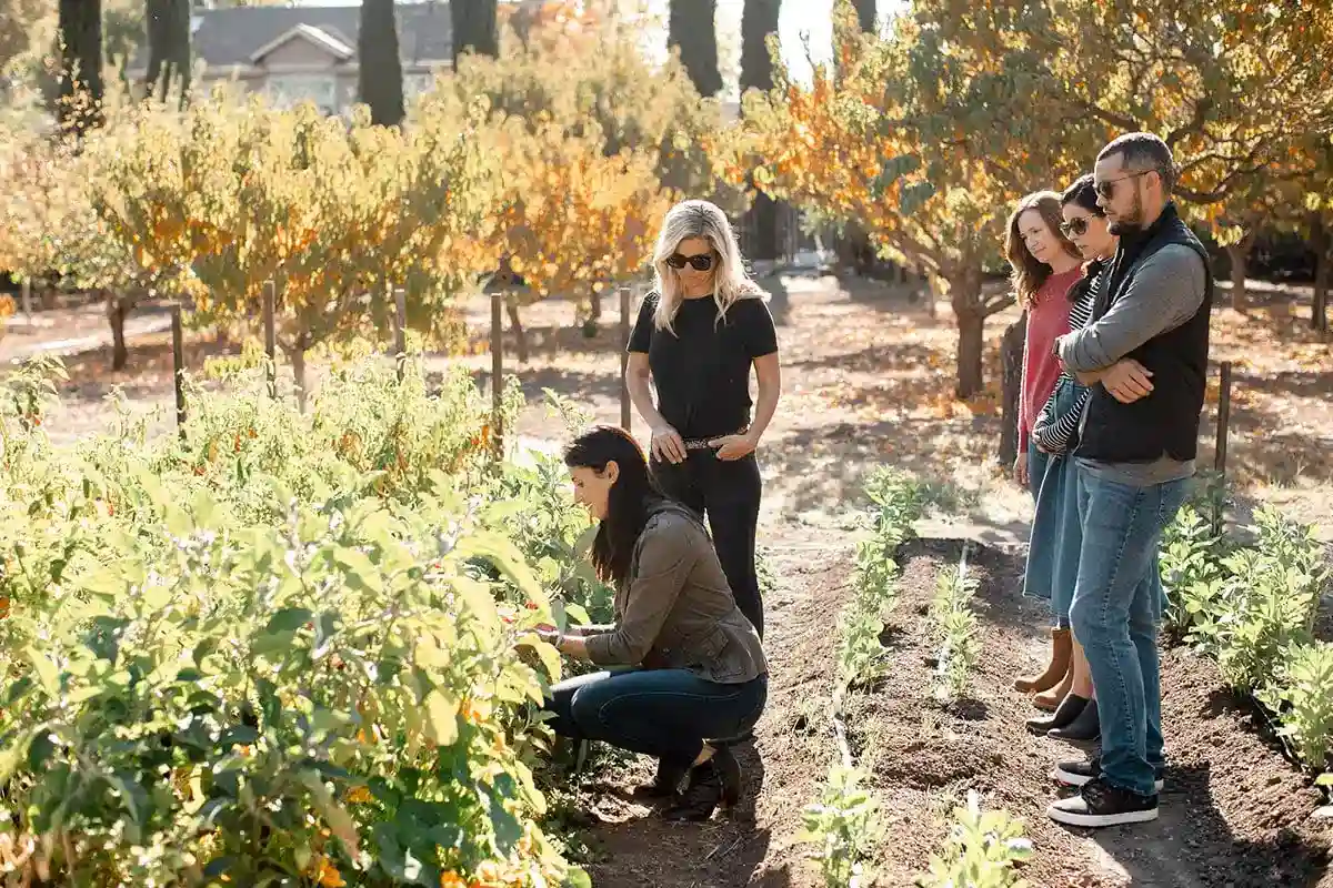 secret garden tour in the herbs