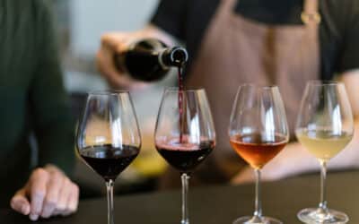 Hidden Gem Wineries Napa Valley: A Boutique Tasting Guide