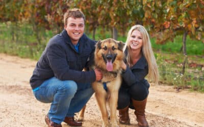 Pet-Friendly Winery Etiquette in Napa