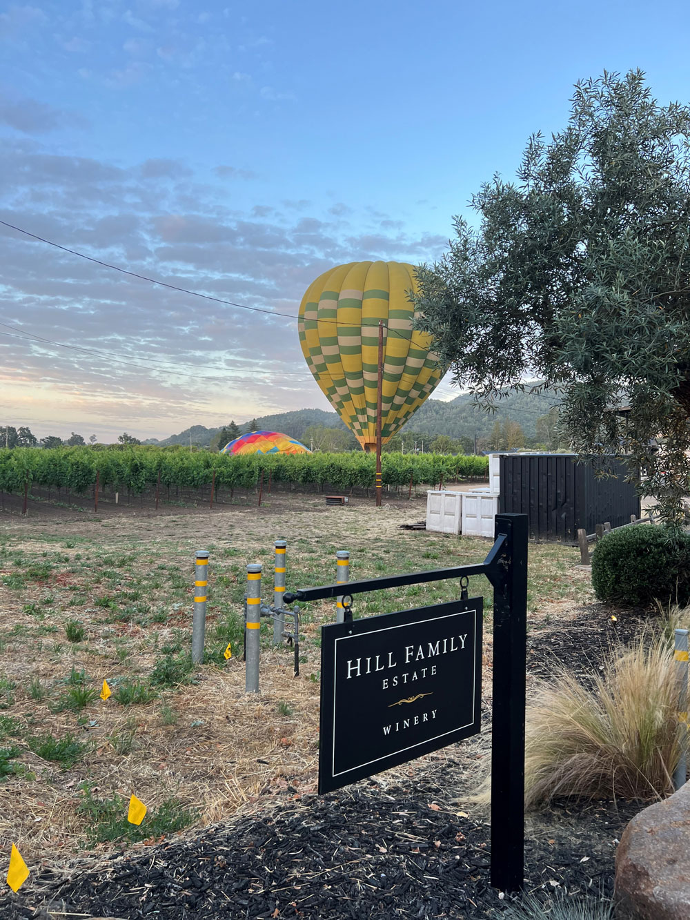 hot air balloon ride over Hill Family Winery