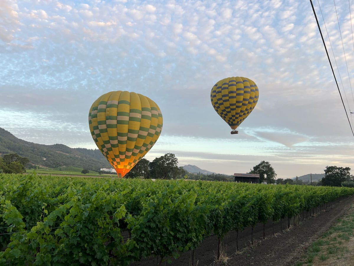 hot air balloons in the sky